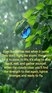 38K views · 236 reactions | Learning Petals on Reels | Facebook