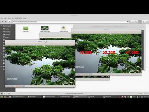 Weed Detection with python opencv
