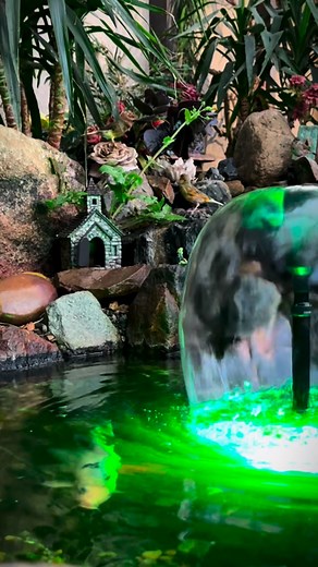 🌿 My birds are enjoying their time by the fountain in the aviary! 🐦💧they love hanging out near the water and soaking up the peaceful vibes. 🌸✨ #Poposoappondfilter #poposoap #pond #poposoapsolar #paradiseparkaviary #aviary #birds #koi #koipond #outdooraviary #aviarybirds #fishpond #finches #fish | paradiseparkaviary