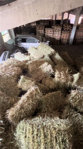 Organizing Life on the Farm: Practical Tips