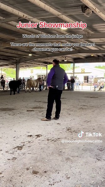 Showmanship Insights from Judge at Cattle Exhibition
