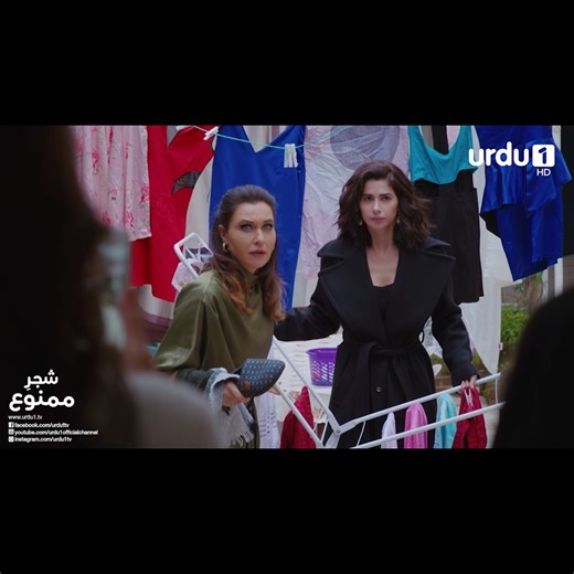 88K views · 1.3K reactions | Watch Shajar e Mamnu | Ep-331 | Tonight at 9 pm only on #Urdu1 For latest episodes: https://youtube.com/Urdu1officialChannel | Urdu1 | Facebook