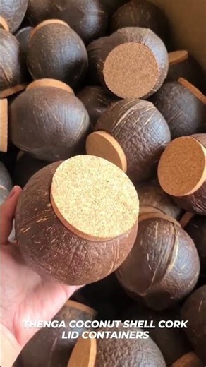 Thenga Coconut Shell Tight Storage Containers