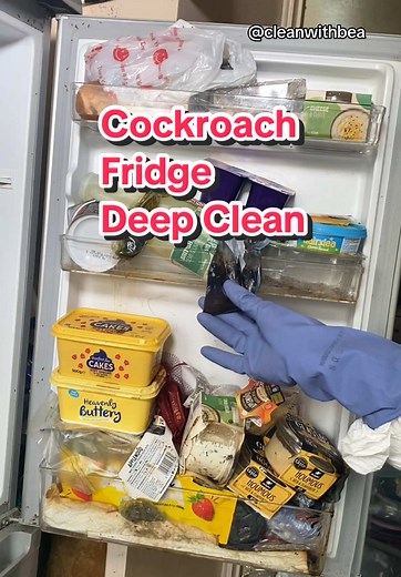 Effective Techniques for Cleaning a Cockroach-Infested Fridge