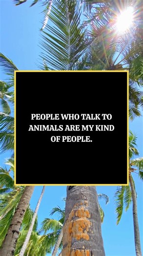 There’s something beautifully honest about a person who speaks to animals like they understand every word. And if you’ve ever looked into the eyes of a dog, a cat, a horse, or any creature with a quiet soul, you know exactly why the words come so naturally. It isn’t silliness. It isn’t childishness. It’s connection — pure, simple, and unfiltered by the noise of the world. People who talk to animals are the ones who feel deeply. They’re the ones who soften their voice without thinking about it. T