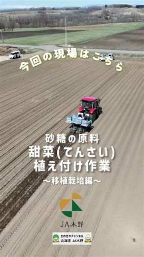 【JA木野・北海道】誰よりも甘くなりたい…！