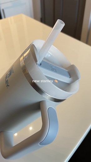 Stanley Cup Tumbler Review and Unboxing | Best Color Options Revealed