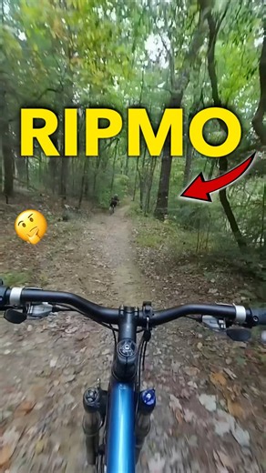 🤌 Who DOESN'T Roll With 40 PSI Bike Tires Behind Every Ibis Ripmo❓
