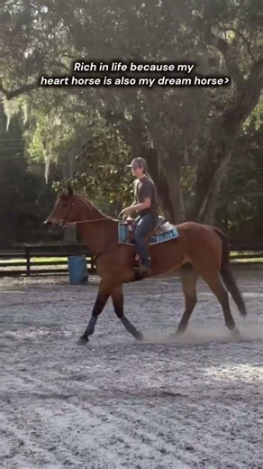 Love him sm❤️ sorry for the spam😂 #horse #aqha #thoroughbred #appendix #barrelracing #Igotassets