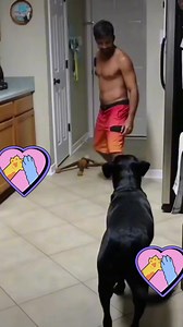 8.4K views · 115 reactions | #leșiiin#caterinca | Valentyna Alexe | Facebook