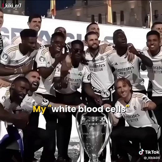 Understanding White Blood Cells and Their Functions