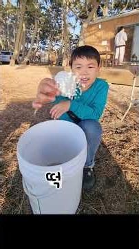 까치가 잡은 조개만 5종류🐚 #뽀까치기#고사포야영장#해루질#조개