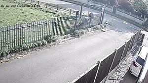 CCTV captured moment cocker spaniel was attacked