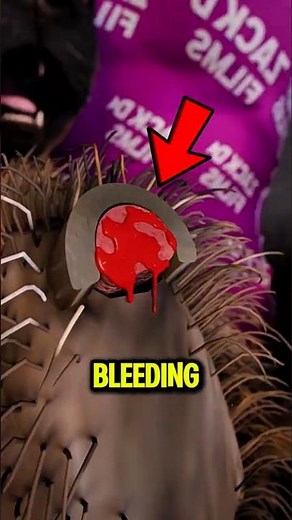 Cut Your Dog’s Nail Too Short! 😱🐶 It Can Bleed FAST