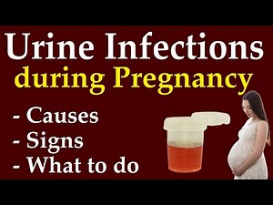 Urine Infections during Pregnancy | Symptoms and signs of Urinary Tract Infection in Pregnancy