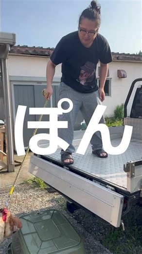 【犬】こちらのワンコは先日亡くなりました#shorts