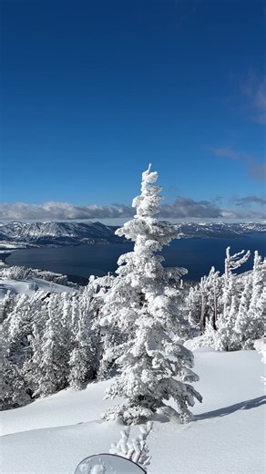 Views hiking to Milky Way Bowl at Heavenly Ski Resort ❄️🏔️ #southlaketahoe #tahoe #california #snow #snowboard