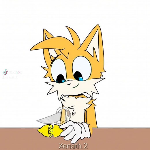 Sonic and Tails Animation Meme