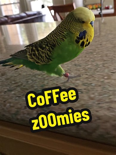 Training for a Marathon with Short Legs: Overcoming Challenges