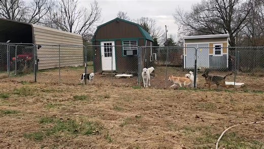 The biggins! 🥰 | Tink's