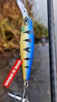 Twitchbait zum Spinnfischen auf Barsch #spinnfischen #raubfischangeln #wobbler #barschangeln