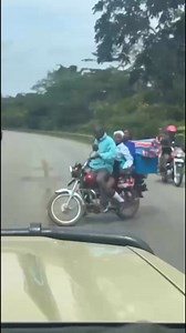 Unbelievable, It has to say hi! # #nature #wildlife | CTV Uganda