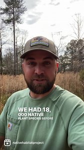 63K views · 7.3K reactions | The introduction of non-native plants can be stopped but it’s all up to you! Please plant the plants native to your area! #nativehabitatproject #invasives #non-natives #plantnative #nativeplants #conservation | Native Habitat Project | Facebook