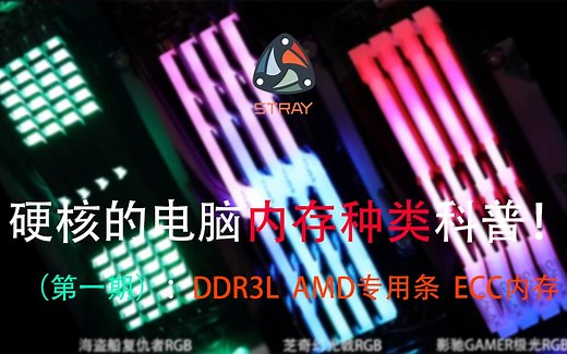 AMD专用条 ECC内存都是什么意思啊？（科普）