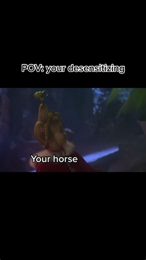 #fyp #fypシ #foryoupage #horsesoftiktok #quarterhorse #reiner #gelding #QH ##desensitizing#d#desensitizinghorsespo#pov