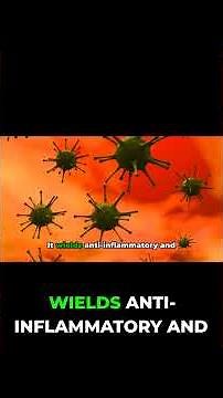 Goldenrod Benefits You Never Knew About!