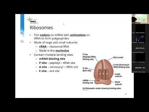 [HIMTI RESPONSI] Computational Biology (UTS)