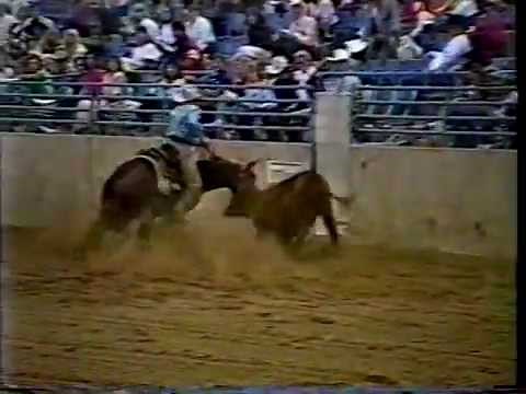 AQHA Stallion, NU CASH's promotional video