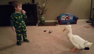 22K views · 414 reactions | Teaching Bee proper oral hygeine. Luckily we have more than one toothbrush! | Mr. T and Bee: A Tale of a boy and His Ducks | Facebook