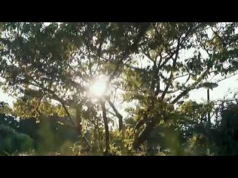 Eminem, Juice WRLD - Heaven Sent (Official Video)