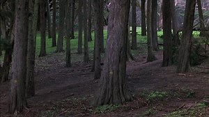 Jade (1995, W.Friedkin) VO(ST multi)