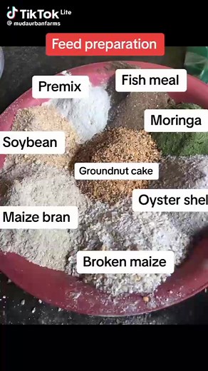 Feed formulation | Vitexfarm