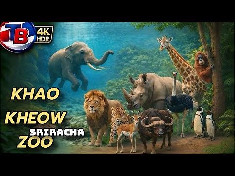 4K Thailand Zoo Khao Kheow Open Zoo Chonburi Part 1