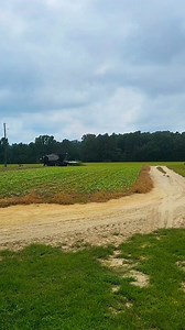 2025 Corn Harvest Has Begun! Praise God! #farmlife #CornHarvest #gleaner #combine #fypシ゚ #foryoupageシ #terrellspivey #viral #fb #fbvideo #viralfb #viralreels #fbreels | Terrell Spivey