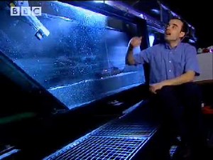 1958 Lituya Bay Megatsunami Simulation (Short)