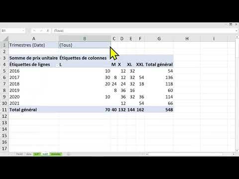 EXCEL TRAINING: PRACTICAL TIPS for PivotTables