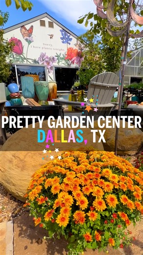 ✨🪴 THE PRETTIEST GARDEN STORE IN DALLAS // FAMILY-OWNED SMALL BIZ WITH THE CUTEST GIFT SHOP 💐✨ #DallasLoveList // We went out looking for porch pumpkins mums and stumbled into the most charming family-owned garden center near White Rock Lake @waltonsgradencenter! 🌿 The gift shop is SO cute (and two stories!) Plus, they’re already working on their Christmas displays. We got a sneak peek 👀 and it’s magical. 🎄✨ 📍 LOCATION// 8652 Garland Rd, Dallas, TX Tag your garden bestie, support local sma