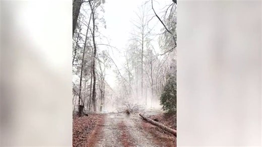 Georgia Power restores 70,000 customers after storm