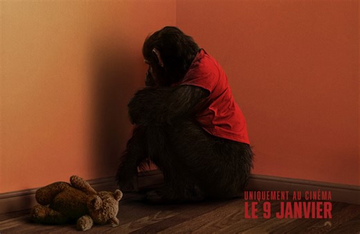 Behind-the-scenes on Primate: When a chimpanzee goes bad