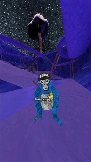 How Do You Pronounce My Name? #gorillatag #gorillatagquest #vr #shorts #gaming