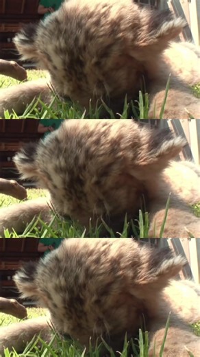 Adorable Moments Captured on Pinterest