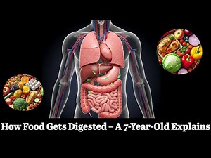 How Food Gets Digested – A 7-Year-Old Explains It Simply! | Fun & Easy Science for Kids"