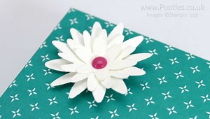 Pootle's SpringWatch Reinforced DSP Lidded Box Tutorial | Stampin' Up! UK #1 Demonstrator Sam Hammond