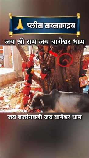 चमत्कारी हैं ये चौपाई जपते ही दूर होते हैं सभी कष्ट#shorts #shortvideo #viral #hanuman #mantra