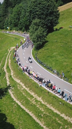 5.7K reactions · 14 comments | That‘s a climb, it‘s not fu..ing flat Peloton flying up the hill . #tds2025 #tourdesuisse #cycling #climb | Tour de Suisse | Facebook