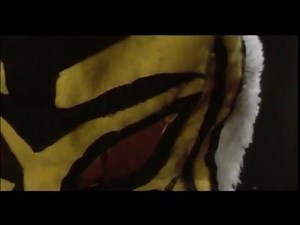 L'Uomo Tigre - IL FILM Teaser trailer